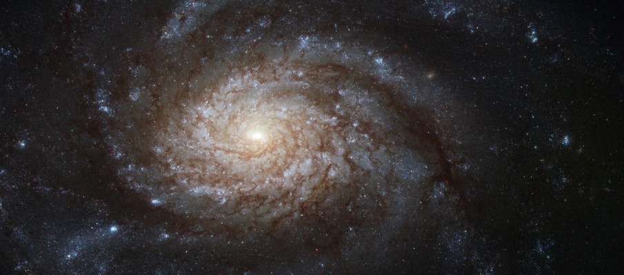 The bright galaxy NGC 3810 demonstrates classical spiral structure in this very detailed image from Hubble. The bright central region is thought to be forming many new stars and is outshining the outer areas of the galaxy by some margin. Further out the galaxy displays strikingly rich dust clouds along its spiral arms. A close look shows that Hubble’s sharp vision also allows many individual stars to be seen. Hot young blue stars show up in giant clusters far from the centre and the arms are also littered with bright red giant stars. The original images were acquired by astronomers studying a supernova discovered late in the year 2000. It was the second supernova found in the galaxy in quick succession following another discovered in 1997. NGC 3810 is located about 50 million light-years from Earth in the constellation of Leo (the lion). It was discovered by William Herschel in 1784 and is easily seen as a faint smudge in small telescopes. The NASA/ESA Hubble Space Telescope's Advanced Camera for Surveys captured this image of NGC 3810. It was observed through three filters letting through blue, green and near-infrared list respectively (F435W, F555W and F814W). The exposure times were about seven minutes per filter and the field of view is about 3.4 x 1.7 arcminutes.